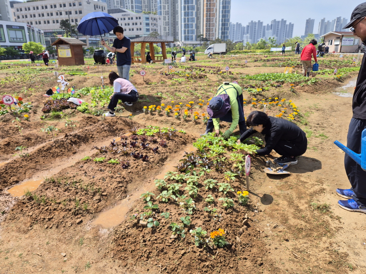 도시농업공원 3곳 ‘시민행복텃밭’ 참여자 모집